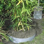 View Bamboo Barrier